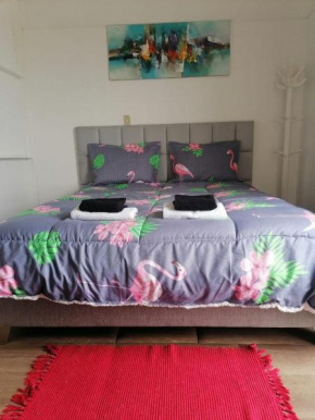 Loft con vista en San Borja